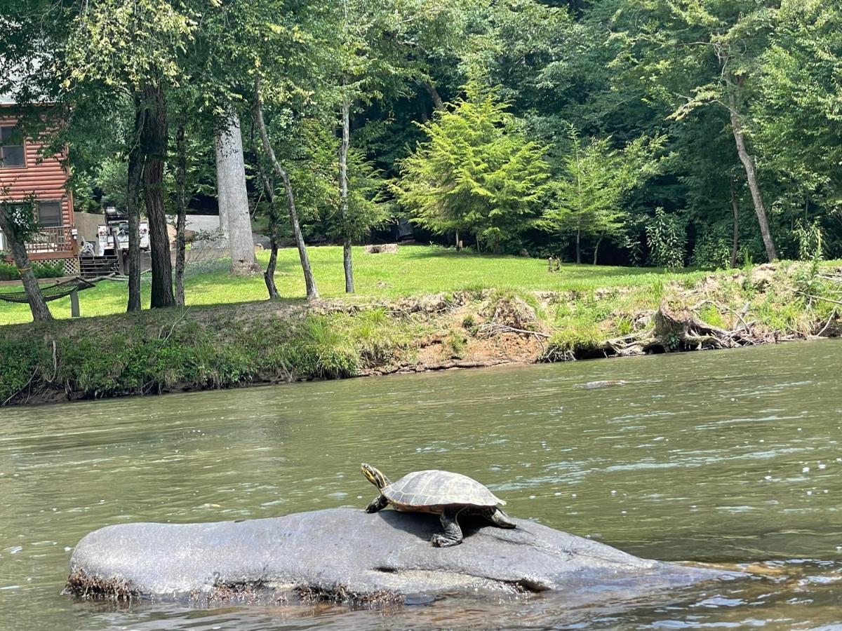 Eagle Mountain River Retreat Ellijay Zewnętrze zdjęcie